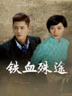 鐵血殊途海報