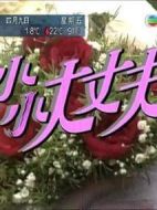 小小大丈夫劇情介紹(1-49全集)