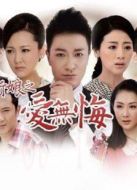 百萬(wàn)新娘之愛(ài)無(wú)悔（TV版）劇情介紹(1-75全集)