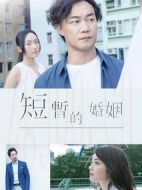短暫的婚姻劇情介紹(1-5全集)