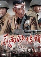 風(fēng)雨沙坡頭劇情介紹(1-35全集)