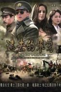 遠去的飛鷹劇情介紹(1-30全集)