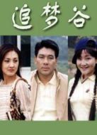 追夢(mèng)谷劇情介紹(1-20全集)