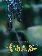 云南蟲谷劇情介紹(1-16全集)