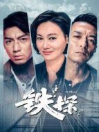 鐵探[粵語版]劇情介紹(1-30全集)