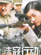 誅寇行動劇情介紹(1-31全集)