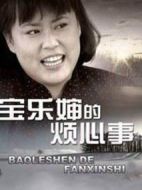 寶樂嬸的煩心事海報(bào)