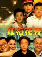紅梅花開(kāi)劇情介紹(1-28全集)