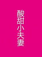 酸甜小夫妻劇情介紹(1-4全集)
