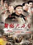 解放大西南（未刪減版）劇情介紹(1-32全集)