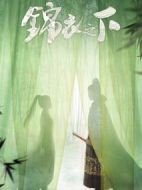 錦衣之下劇情介紹(1-55全集)