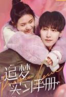 追夢實習(xí)手冊劇情介紹(1-12全集)