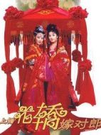 上錯(cuò)花轎嫁對(duì)郎劇情介紹(1-20全集)